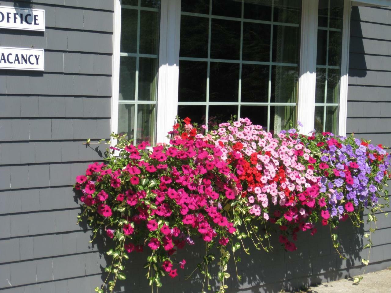 Mid-Town Motel Boothbay Harbor Zewnętrze zdjęcie